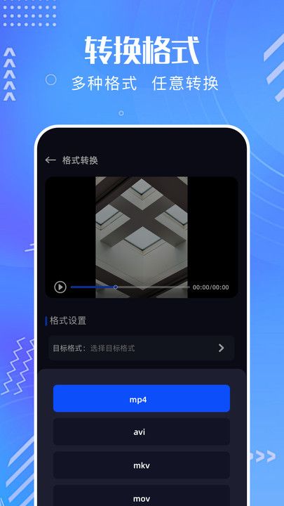 红叶影频TV电视版官方下载 v1.1