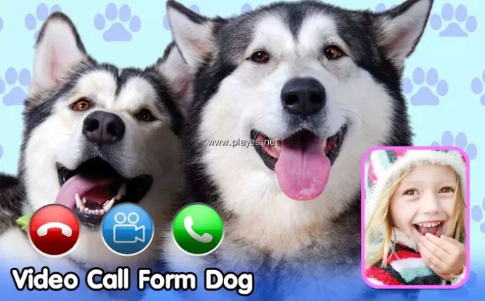 Dog Fake Call来电视频铃声app最新版 v9.0