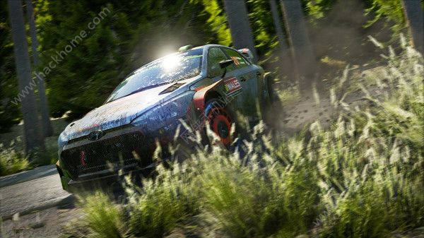 世界汽车拉力锦标赛7安卓游戏手机版（WRC 7） v1.0