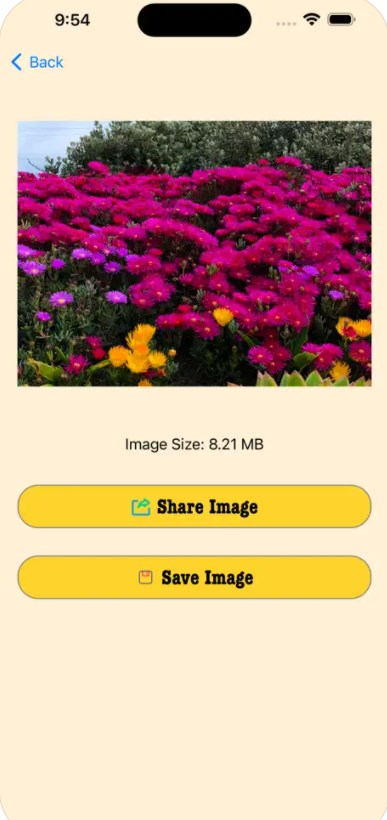 ImageTool软件下载免费版 v1.1