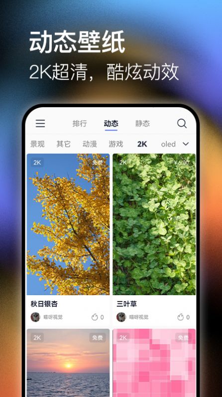 极壁纸软件免费版下载 v1.0.1