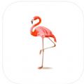 Flamingo graffiti palmting影视软件免费变身下载 V1.1