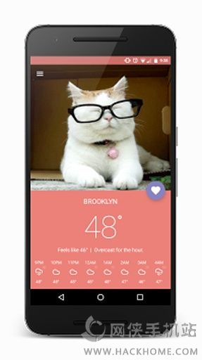 Meowzr安卓手机版app v1.0