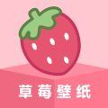 草莓app官方版下载（草莓壁纸） v1.7.0