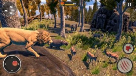 野生狮子RPG游戏安卓版（Wild Lion RPG Animal Simulator） v0.1