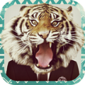 Animal Face下载安卓版app v1.3.1