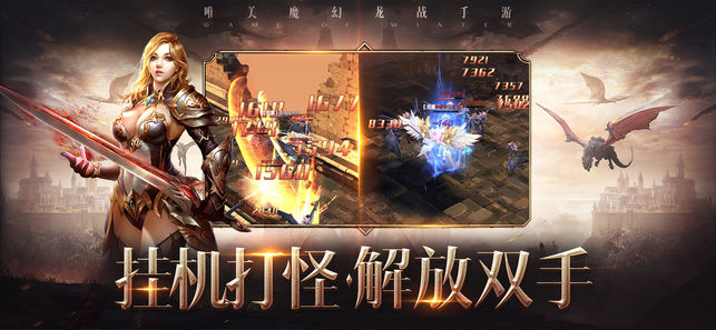 黑龙觉醒游戏九游手机版 v1.2.2.1