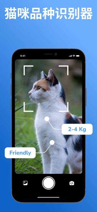 猫品种标识符app官方下载 v1.0