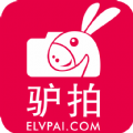 驴拍网下载官网app v1.0