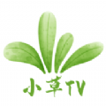 小草TV版app免费下载官方版 v6.8