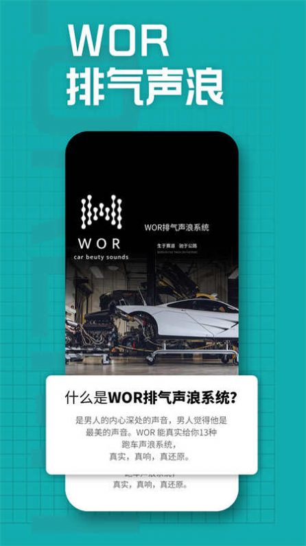 WOR排气声浪系统激活版小程序下载图片2