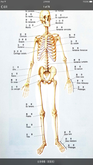 人体解剖图谱官网ios已付费免费版app v2.1