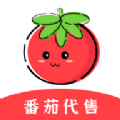 番茄代售app官方下载 v2.1.3