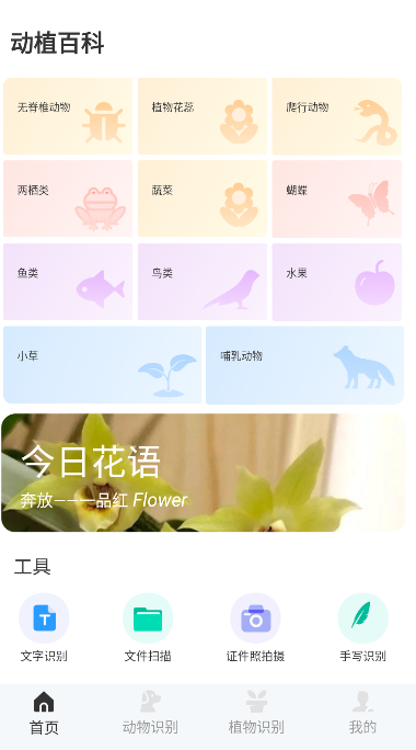 动物百科app手机版 v1.0