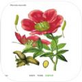 常用植物图鉴app手机版下载 v1.0