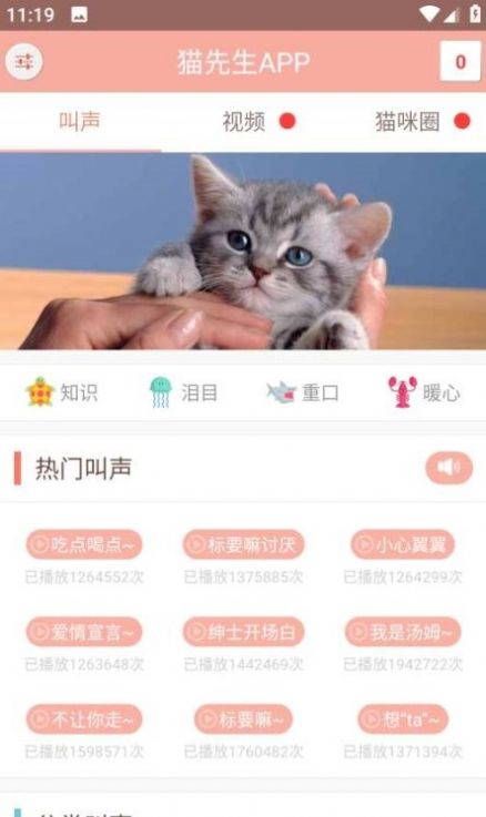 博猫管家app手机版下载图片1