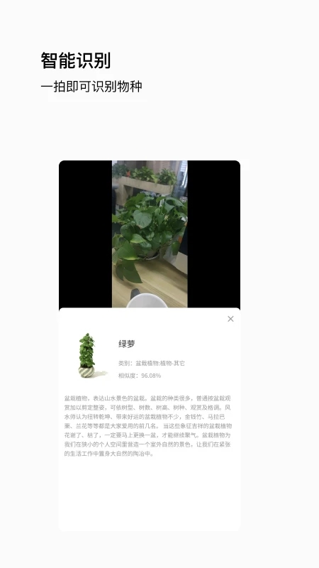 唞蜗智能识别app下载 v1.0.5