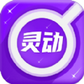 灵动放大镜app手机版下载 v1.0.1