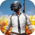 pubg体验服2.1最新版本下载安装 v3.3.0