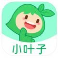 小叶子智能陪练app免费版下载苹果ios最新版 v8.1.0