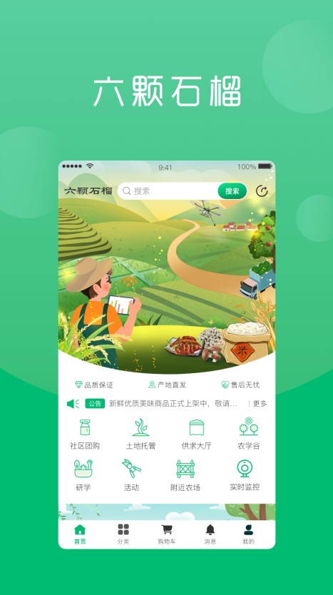 六棵石榴手机版下载安装 v1.0.3