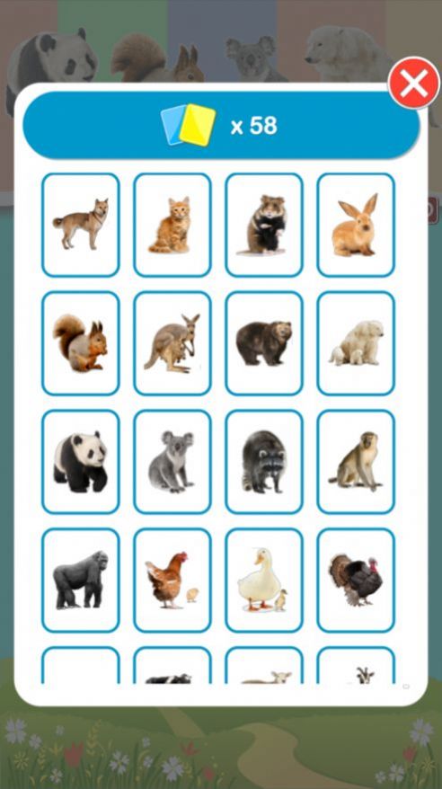动物学习卡pro app最新版图片3