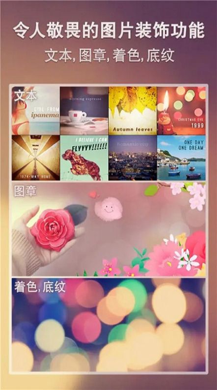 Snapseed编辑2024最新版下载图片1