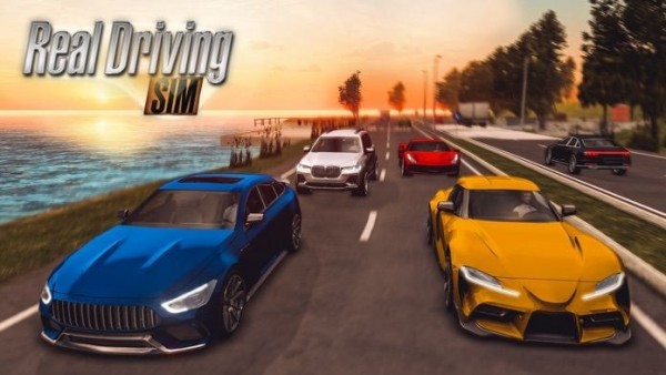 RealDrivingSim中文汉化版游戏下载 v1.0