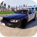 IDBS警车模拟器中国警车皮肤贴图游戏下载 v1.0