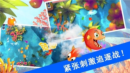 鲨鱼风暴免广告抖音小游戏 v1.1.5