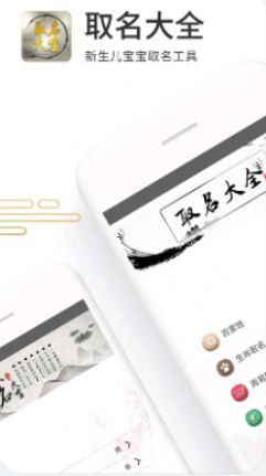 取名大全app最新版下载图片2