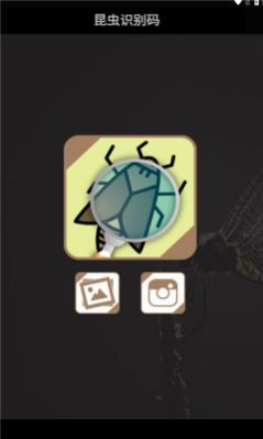 昆虫识别码app手机版 v1.3