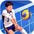 排球竞技场全明星安卓版最新版下载（Volleyball Arena All Star） v1.0