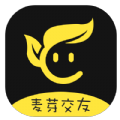 麦芽交友app官方最新版下载 v1.0.7