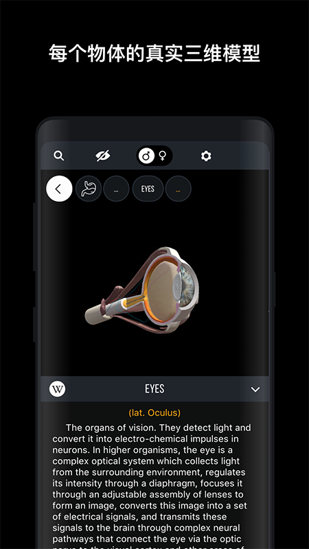人体解剖学图谱3D app官方版 v1.0.0