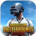 PUBG MOBILE(国际服)官方正式版 v3.3.0