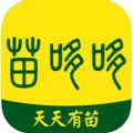 苗哆哆app手机版下载 v1.0