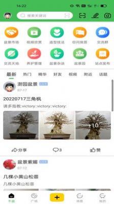 千盆盆景app官方下载图片1