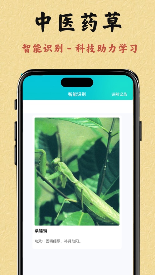 中医药草图文鉴别学习下载 v1.0.0