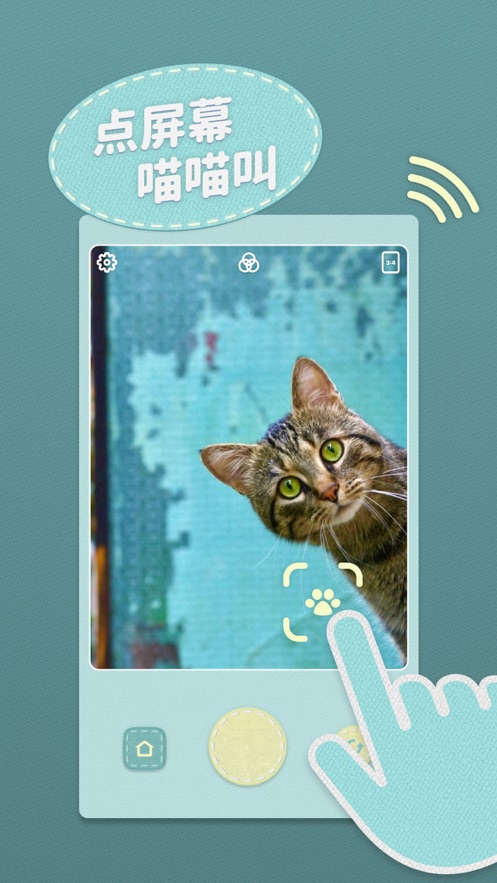 heypet萌宠相机小玩具app官方下载 v1.0.2