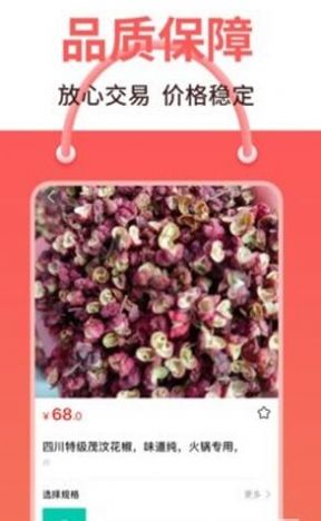 犀集app软件手机版下载 v2.2.1