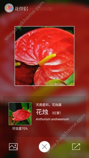 花伴侣识花软件app官方下载安装 v3.2.12