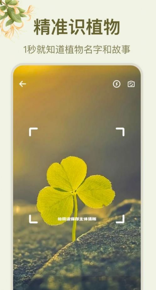 拍照识花大师app软件下载 v1.0