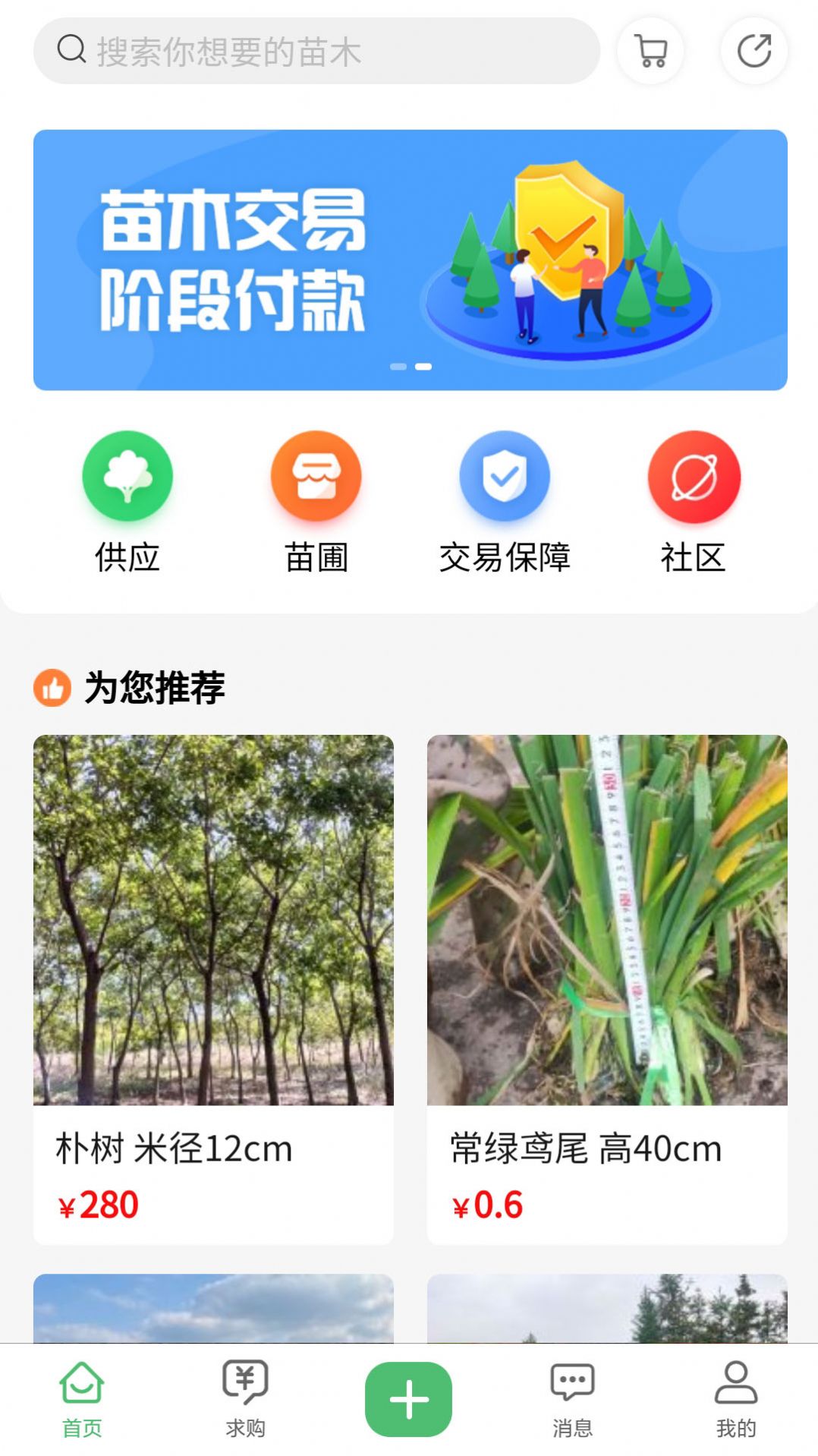 苗青青app软件官方版 v1.0.0