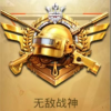 平板视角pubg软件app下载 v1.0