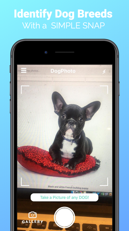 DogPhoto狗品种扫描仪app手机版下载 v1.12