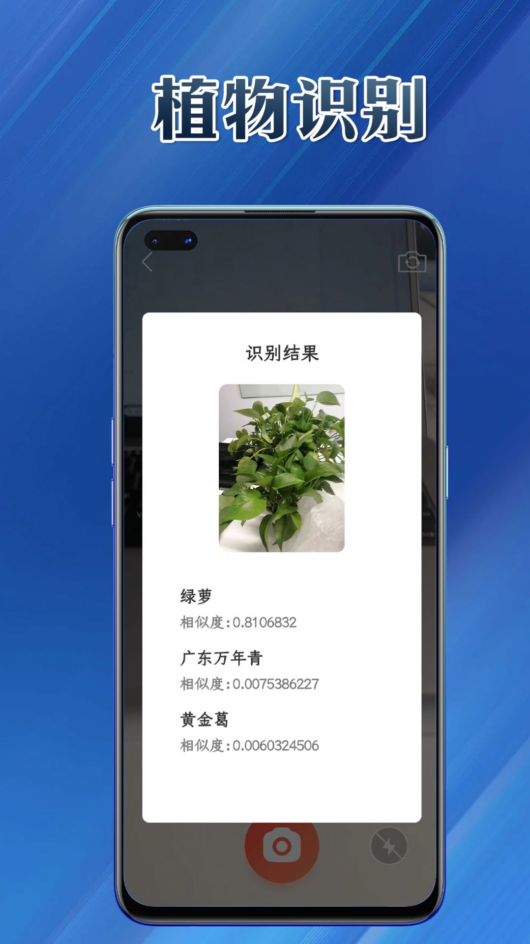 提效大师app手机版下载 v1.0.0