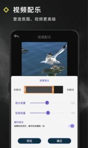 Video Effect视频编辑app手机版下载图片1