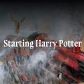 starting harry potter分院测试下载最新 v1.0.0