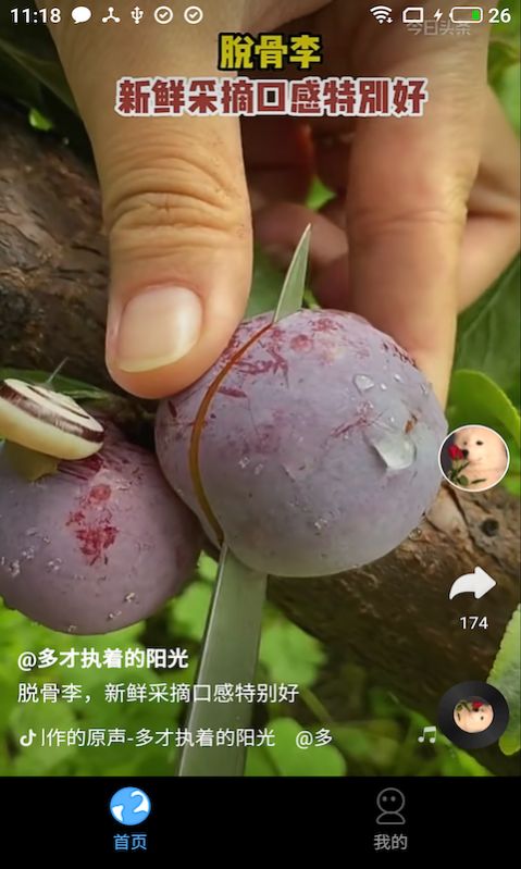 多多免费短剧app最新版下载图片1